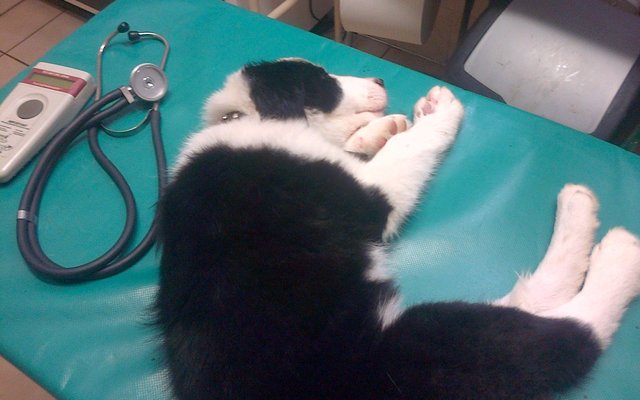 Gansbaai BBosOngeluk1.1